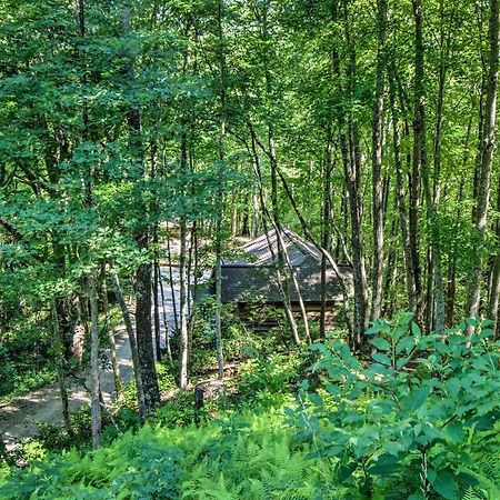 Cozy The Woodshop Cabin With Deck And Forest Views! Robbinsville Exteriör bild